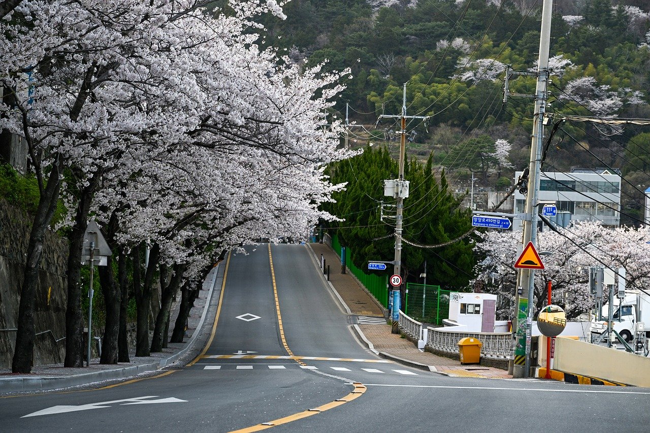 부산 일반이사