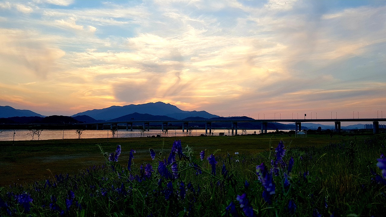오산이사