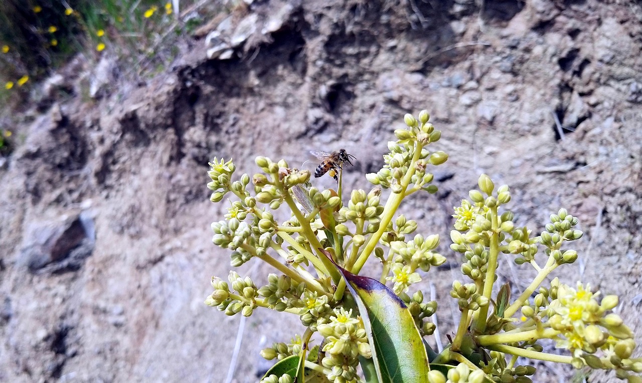 내보험알아보기