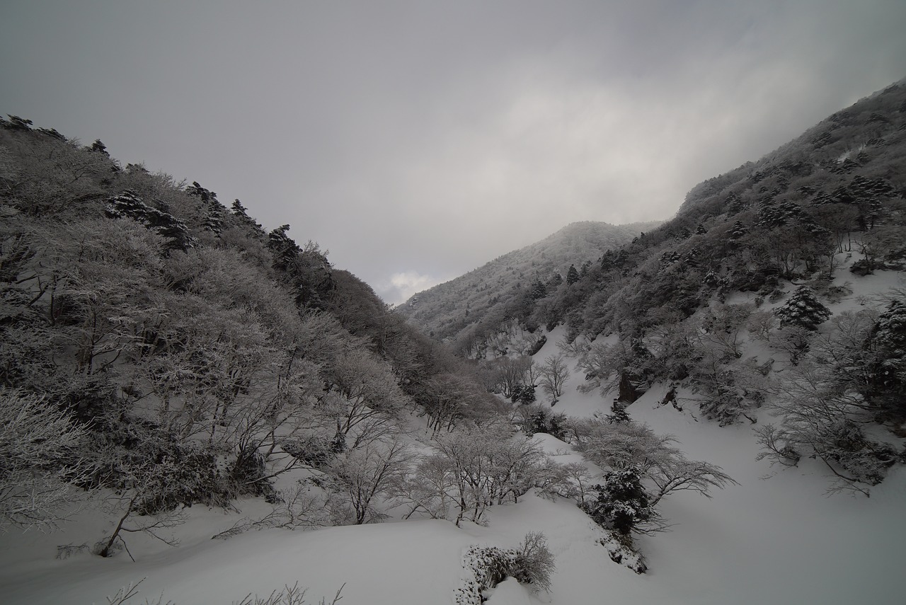 울산 소형이사