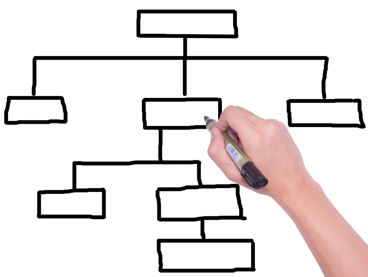 손해보험비교사이트