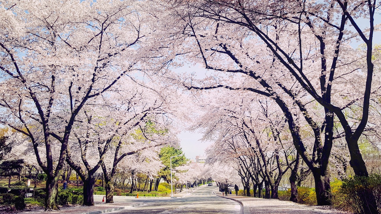 부산1톤트럭 대구 공장이사