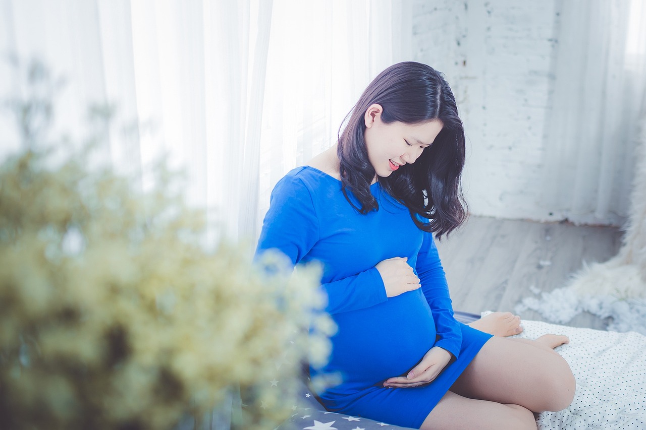 포장이사 입찰