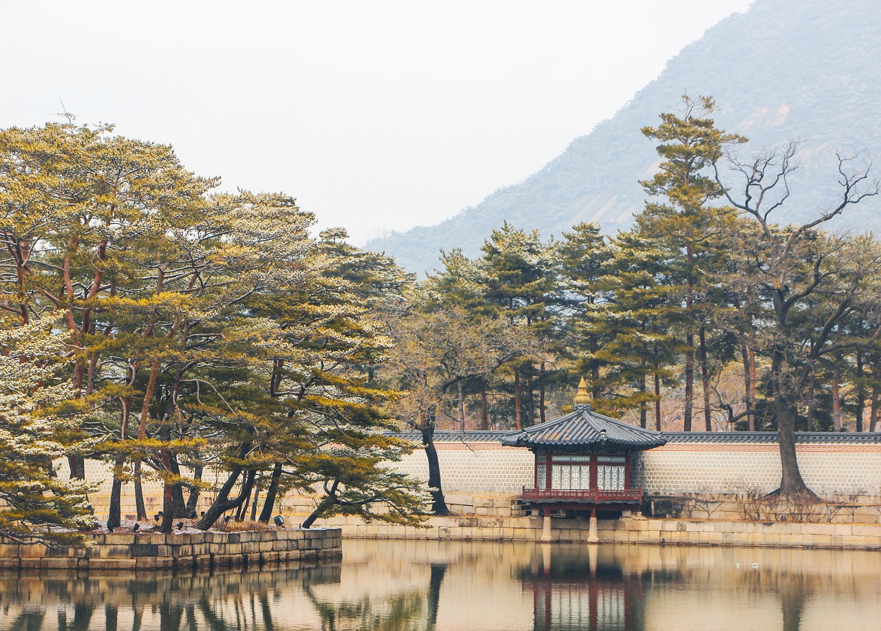 서울 같은동네 이사비용