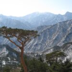 울산 이사 시 손없는날 선택하는 꿀팁